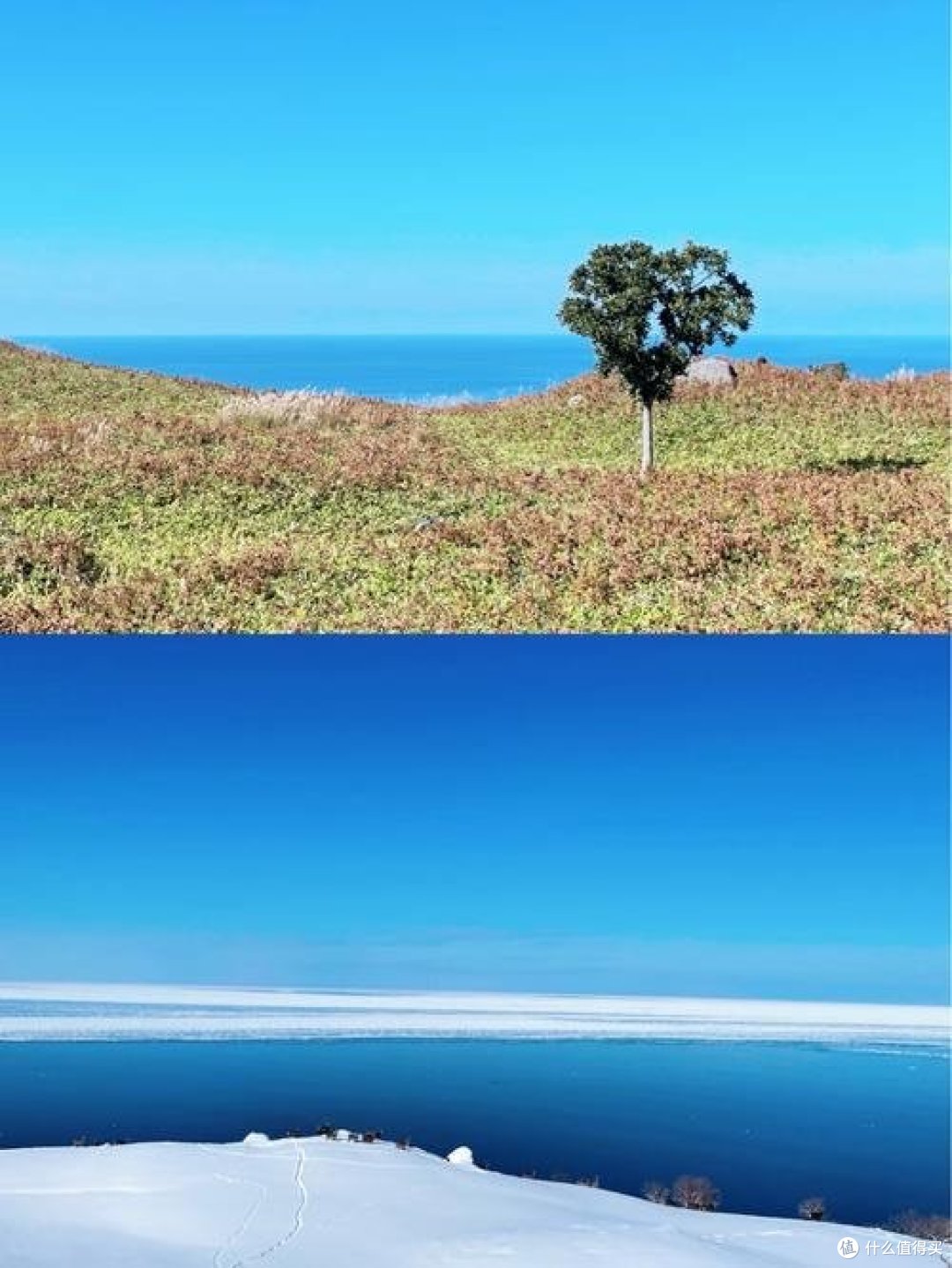 篮球训练法读后感怎么写_2