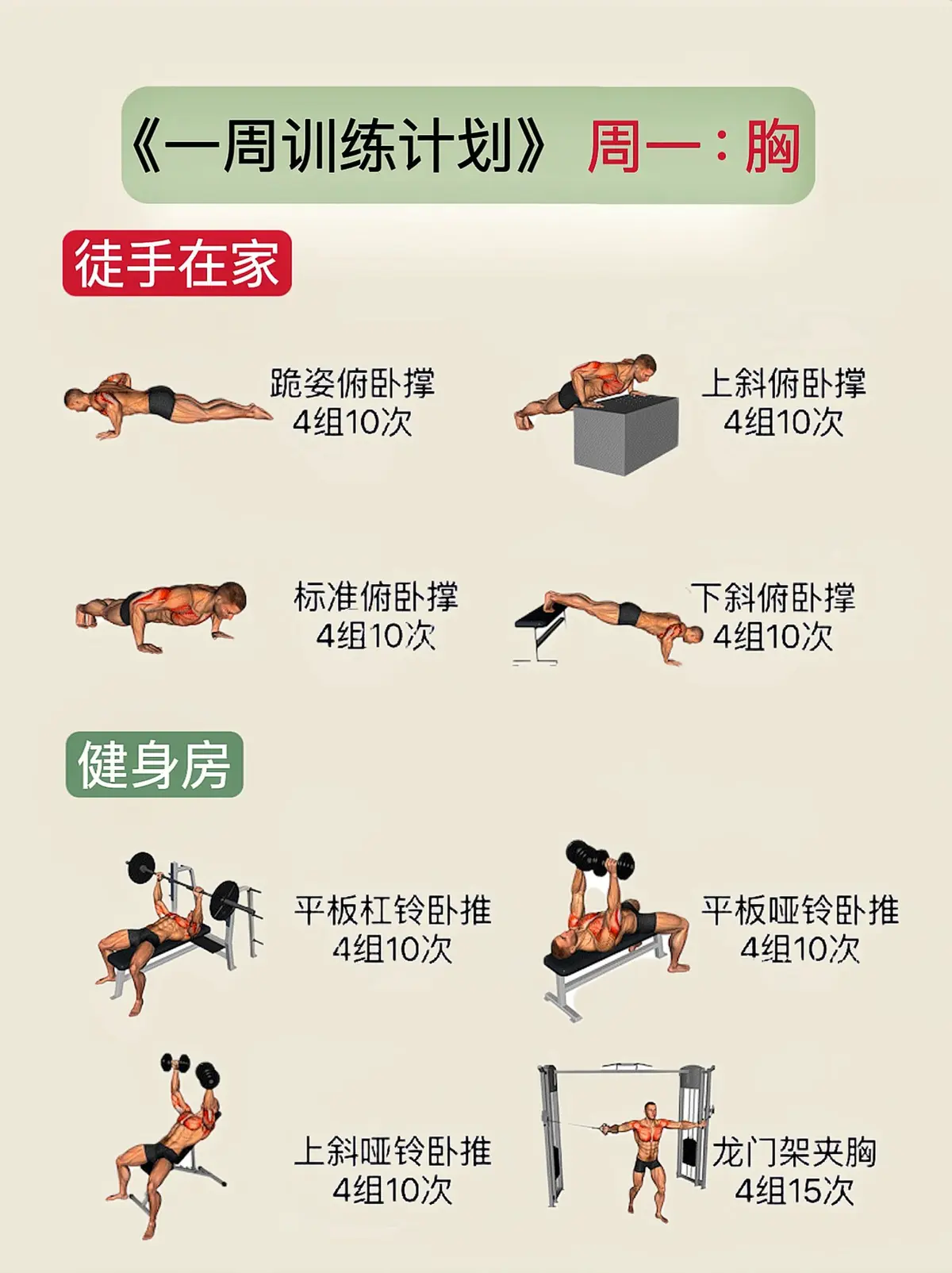 15分钟篮球基本功训练计划_2